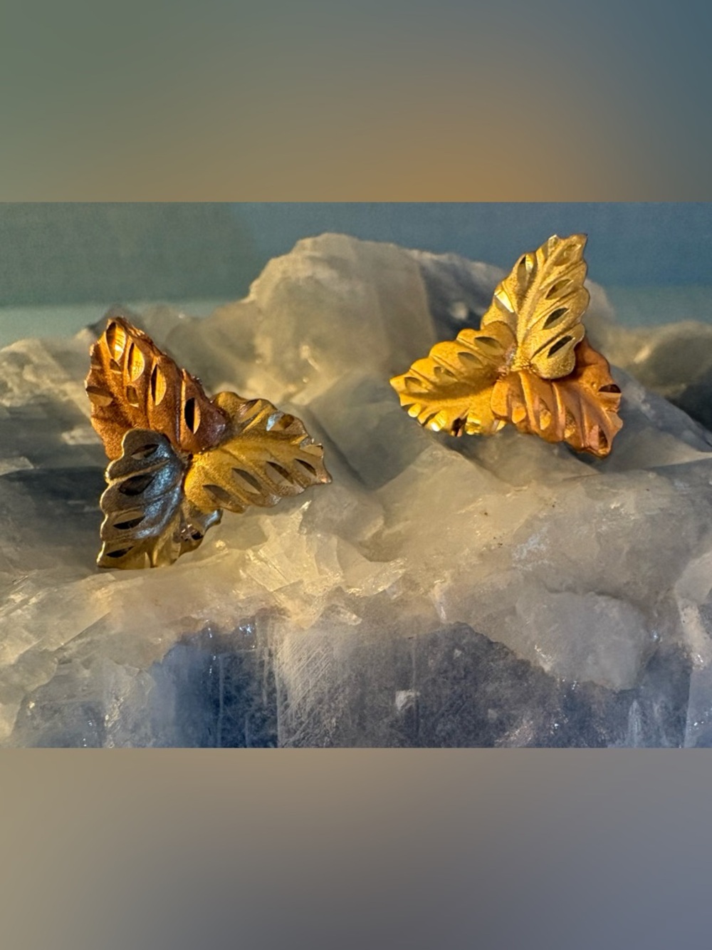 Black Hills Gold Tri-Color Leaf Stud Earrings